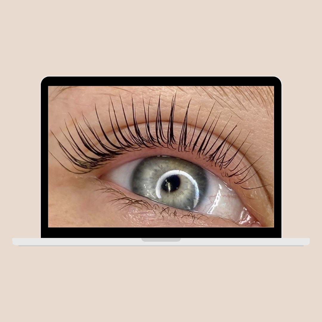 Lash Lift Brow Studio Academy